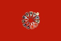 泰兴回收红酒